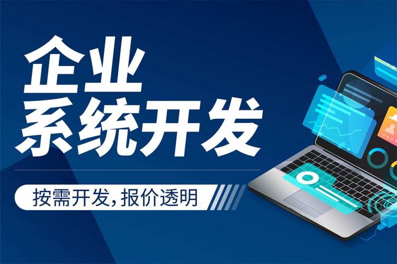 上海软件开发选购指南：为您的企业找对合适伙伴